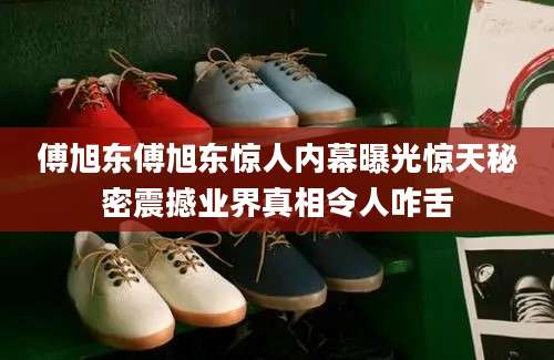 傅旭东傅旭东惊人内幕曝光惊天秘密震撼业界真相令人咋舌