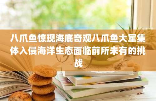 八爪鱼惊现海底奇观八爪鱼大军集体入侵海洋生态面临前所未有的挑战