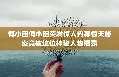 傅小田傅小田突发惊人内幕惊天秘密竟被这位神秘人物揭露