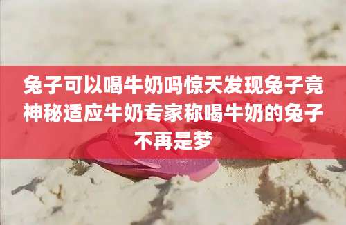 兔子可以喝牛奶吗惊天发现兔子竟神秘适应牛奶专家称喝牛奶的兔子不再是梦