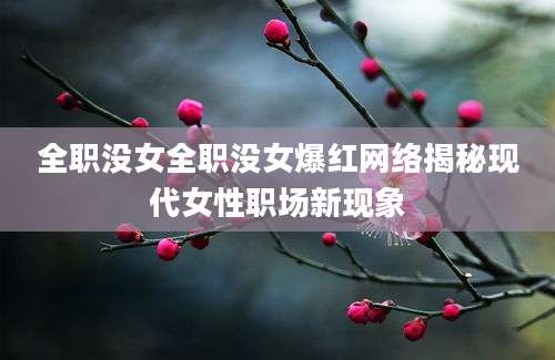 全职没女全职没女爆红网络揭秘现代女性职场新现象