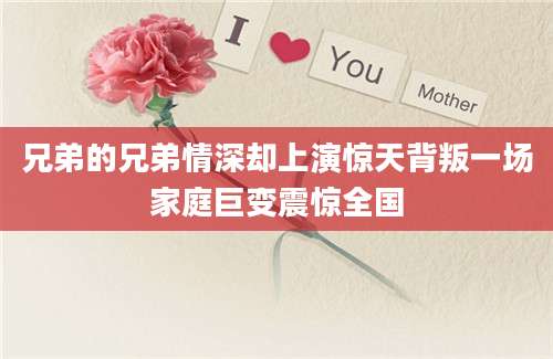 兄弟的兄弟情深却上演惊天背叛一场家庭巨变震惊全国