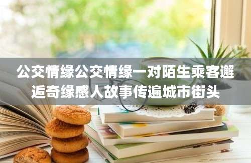 公交情缘公交情缘一对陌生乘客邂逅奇缘感人故事传遍城市街头