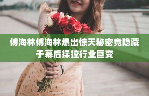 傅海林傅海林爆出惊天秘密竟隐藏于幕后操控行业巨变