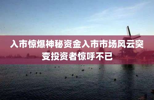 入市惊爆神秘资金入市市场风云突变投资者惊呼不已