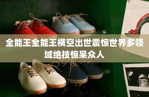 全能王全能王横空出世震惊世界多领域绝技惊呆众人