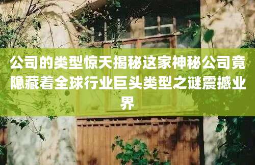 公司的类型惊天揭秘这家神秘公司竟隐藏着全球行业巨头类型之谜震撼业界