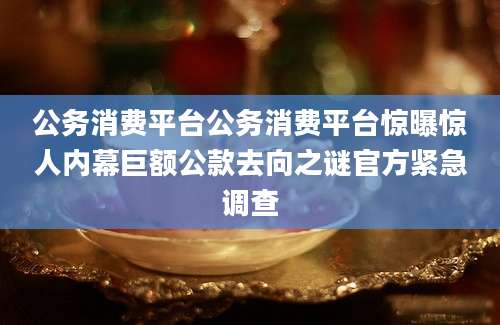 公务消费平台公务消费平台惊曝惊人内幕巨额公款去向之谜官方紧急调查