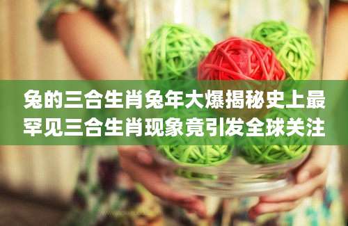 兔的三合生肖兔年大爆揭秘史上最罕见三合生肖现象竟引发全球关注