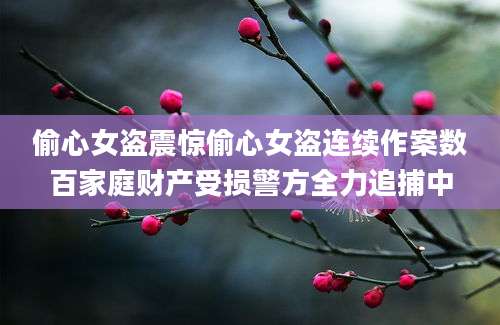 偷心女盗震惊偷心女盗连续作案数百家庭财产受损警方全力追捕中