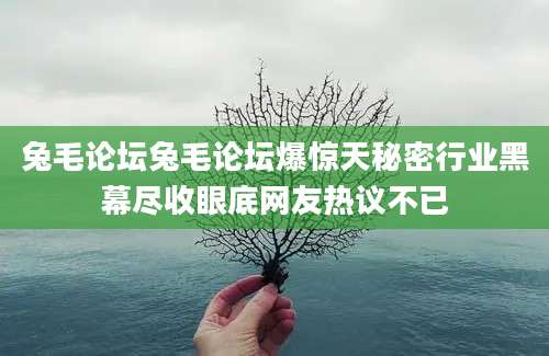 兔毛论坛兔毛论坛爆惊天秘密行业黑幕尽收眼底网友热议不已