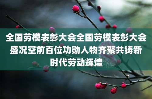 全国劳模表彰大会全国劳模表彰大会盛况空前百位功勋人物齐聚共铸新时代劳动辉煌
