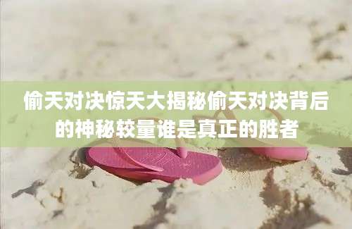 偷天对决惊天大揭秘偷天对决背后的神秘较量谁是真正的胜者