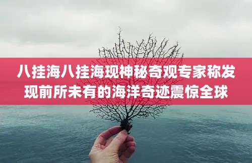 八挂海八挂海现神秘奇观专家称发现前所未有的海洋奇迹震惊全球