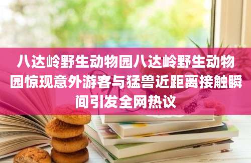 八达岭野生动物园八达岭野生动物园惊现意外游客与猛兽近距离接触瞬间引发全网热议
