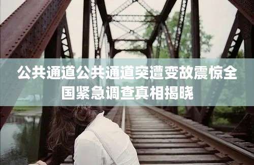 公共通道公共通道突遭变故震惊全国紧急调查真相揭晓