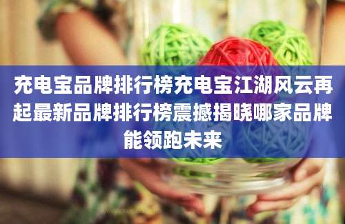 充电宝品牌排行榜充电宝江湖风云再起最新品牌排行榜震撼揭晓哪家品牌能领跑未来