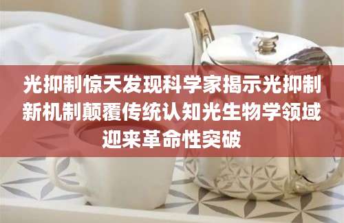 光抑制惊天发现科学家揭示光抑制新机制颠覆传统认知光生物学领域迎来革命性突破