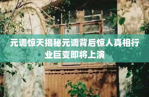 元调惊天揭秘元调背后惊人真相行业巨变即将上演