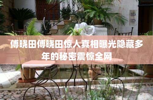 傅晓田傅晓田惊人真相曝光隐藏多年的秘密震惊全网