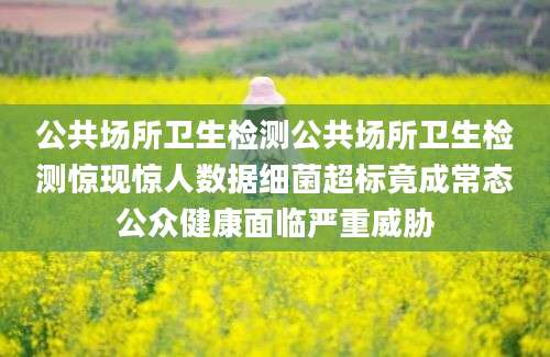 公共场所卫生检测公共场所卫生检测惊现惊人数据细菌超标竟成常态公众健康面临严重威胁