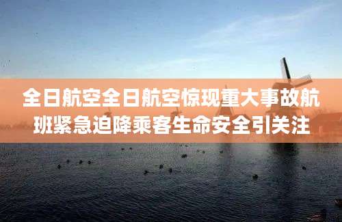 全日航空全日航空惊现重大事故航班紧急迫降乘客生命安全引关注