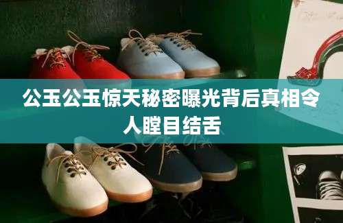 公玉公玉惊天秘密曝光背后真相令人瞠目结舌