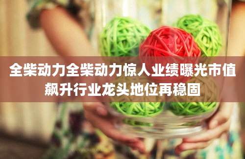 全柴动力全柴动力惊人业绩曝光市值飙升行业龙头地位再稳固