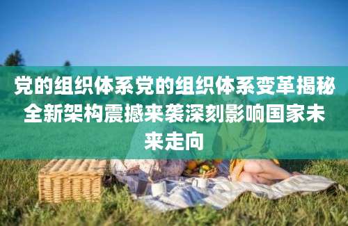 党的组织体系党的组织体系变革揭秘全新架构震撼来袭深刻影响国家未来走向