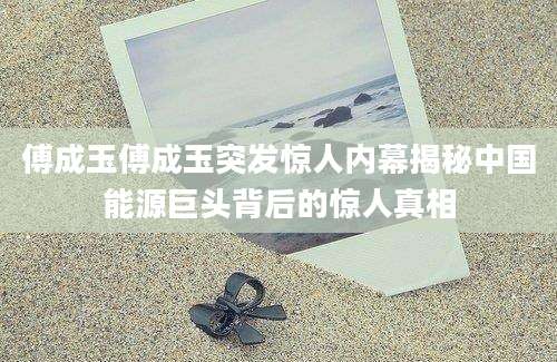傅成玉傅成玉突发惊人内幕揭秘中国能源巨头背后的惊人真相