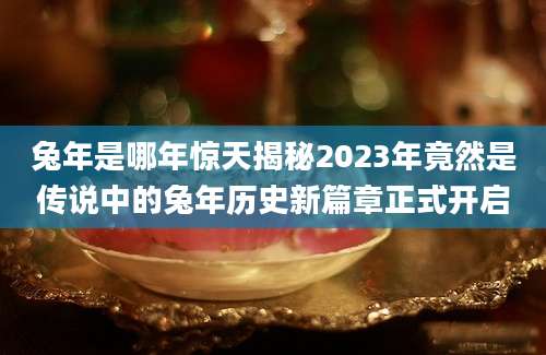 兔年是哪年惊天揭秘2023年竟然是传说中的兔年历史新篇章正式开启