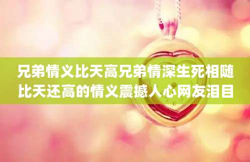兄弟情义比天高兄弟情深生死相随比天还高的情义震撼人心网友泪目