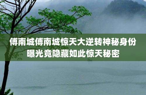 傅南城傅南城惊天大逆转神秘身份曝光竟隐藏如此惊天秘密