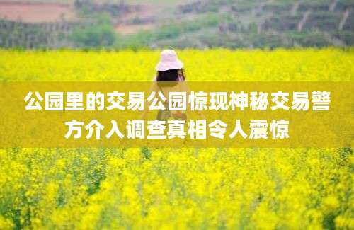 公园里的交易公园惊现神秘交易警方介入调查真相令人震惊
