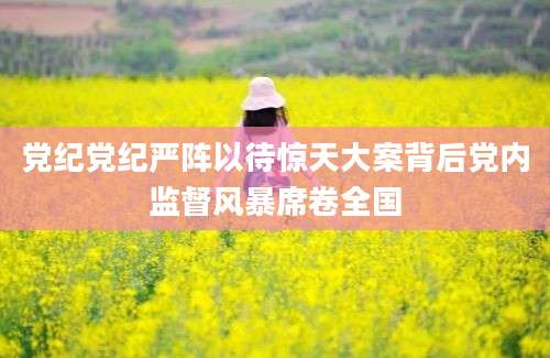 党纪党纪严阵以待惊天大案背后党内监督风暴席卷全国