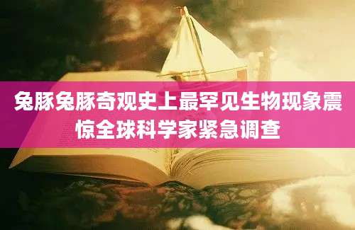 兔豚兔豚奇观史上最罕见生物现象震惊全球科学家紧急调查