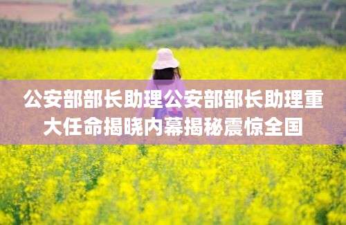 公安部部长助理公安部部长助理重大任命揭晓内幕揭秘震惊全国
