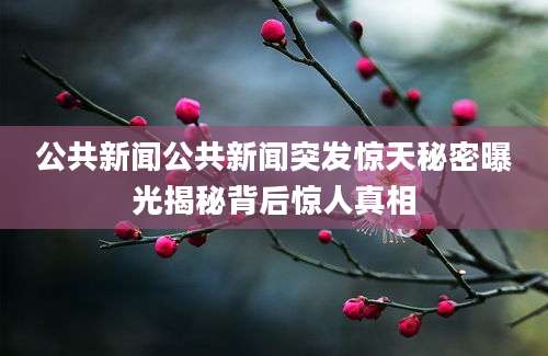公共新闻公共新闻突发惊天秘密曝光揭秘背后惊人真相