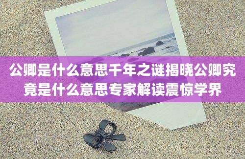 公卿是什么意思千年之谜揭晓公卿究竟是什么意思专家解读震惊学界