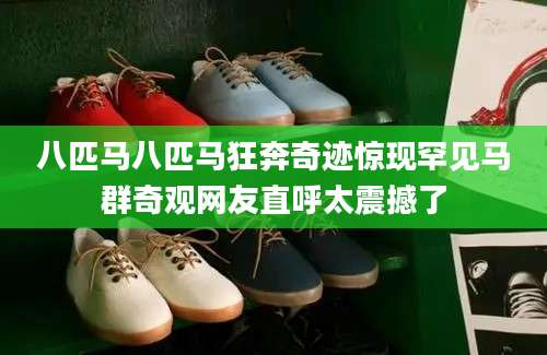 八匹马八匹马狂奔奇迹惊现罕见马群奇观网友直呼太震撼了