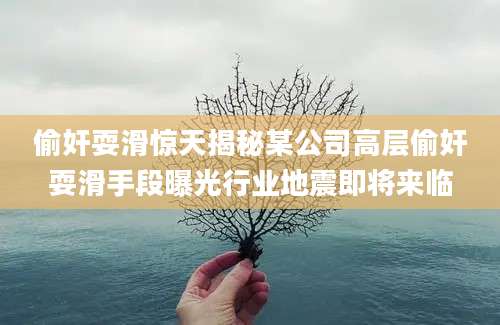 偷奸耍滑惊天揭秘某公司高层偷奸耍滑手段曝光行业地震即将来临