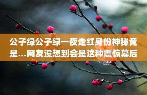 公子绿公子绿一夜走红身份神秘竟是...网友没想到会是这种震惊幕后