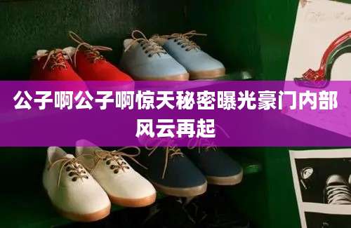公子啊公子啊惊天秘密曝光豪门内部风云再起