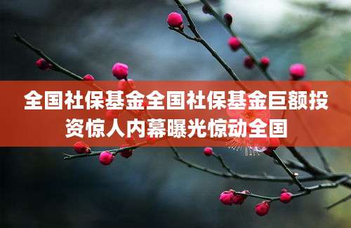 全国社保基金全国社保基金巨额投资惊人内幕曝光惊动全国