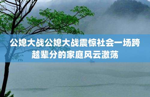 公媳大战公媳大战震惊社会一场跨越辈分的家庭风云激荡