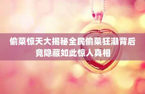 偷菜惊天大揭秘全民偷菜狂潮背后竟隐藏如此惊人真相