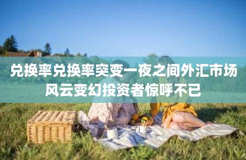 兑换率兑换率突变一夜之间外汇市场风云变幻投资者惊呼不已