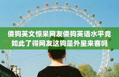 傻狗英文惊呆网友傻狗英语水平竟如此了得网友这狗是外星来客吗