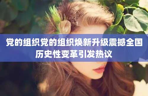 党的组织党的组织焕新升级震撼全国历史性变革引发热议