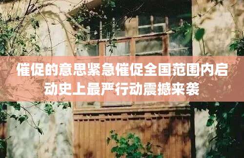 催促的意思紧急催促全国范围内启动史上最严行动震撼来袭
